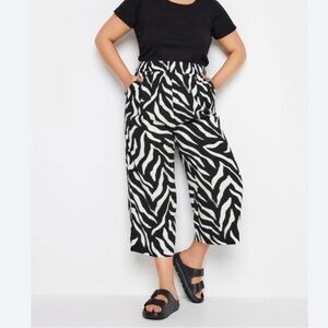 H&M Highrise Zebra Print Wide-Leg Cropped Pants Size
XXL Side Pockets
